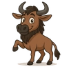 Wildebeest