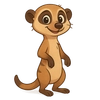 Illustration of Meerkat