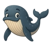 Illustration of Humpback Whale