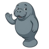 Illustration of West Indian Manatee