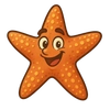 Illustration of Ochre Sea Star