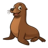 Illustration of California Sea Lion