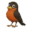 American Robin