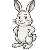 Arctic Hare