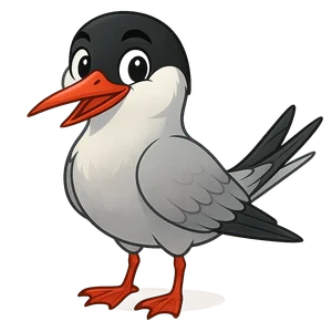 Illustration of Arctic Tern