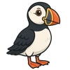 Atlantic Puffin