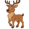 Caribou (Reindeer)