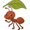 Leafcutter Ant