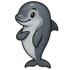 小头鼠海豚