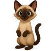 暹罗猫
