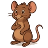 Rodents