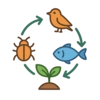 Food chain