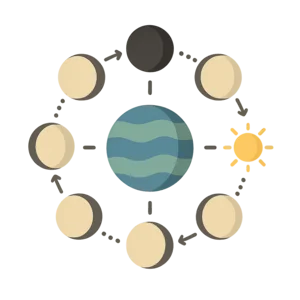 Illustration of Moon Phases