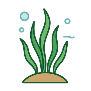 Illustration of Seagrass