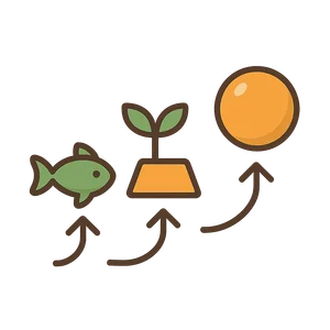 Illustration of Evolution
