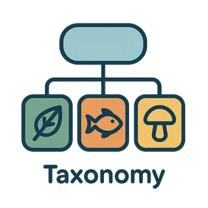 Illustration of Taxonomy