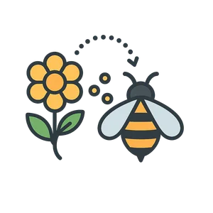 Illustration of Pollination