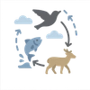 Illustration of Animal Migration