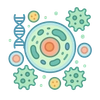Cells