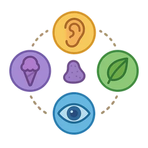 Illustration of My Five Senses