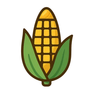 Illustration of Maize