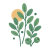Eucalyptus
