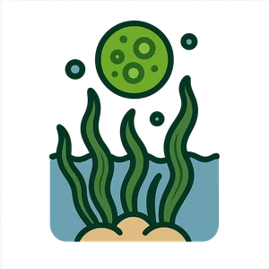 Illustration of Algae