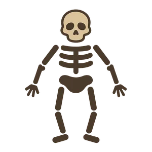 Illustration of Lucy (fossil)