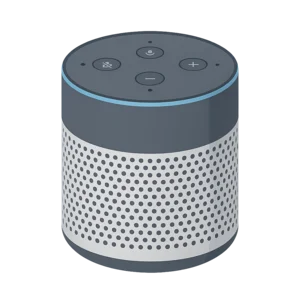 Illustration of Voice Assistant