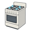 Gas Stove
