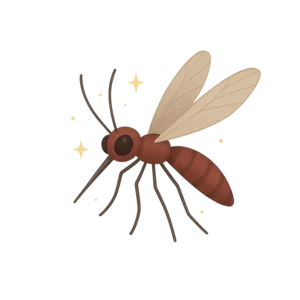 Illustration of Why Mosquitoes Buzz in People's Ears - West African