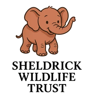 Illustration of Sheldrick Wildlife Trust