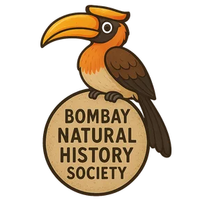 Illustration of Bombay Natural History Society