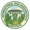 International Rice Research Institute
