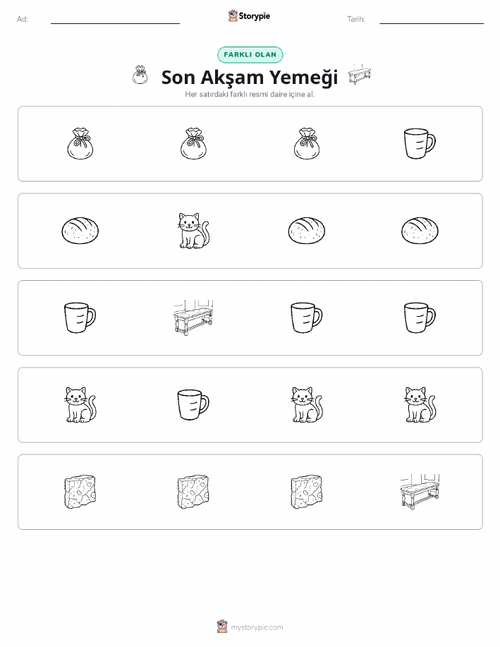 Farklı Olanı Bul