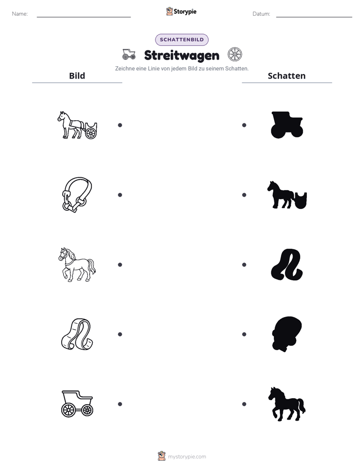 Schattenmatch