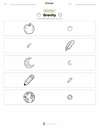 Gravity printable worksheet preview