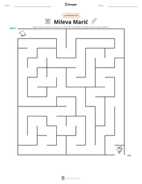 Aperçu de la feuille de travail imprimable Mileva Marić