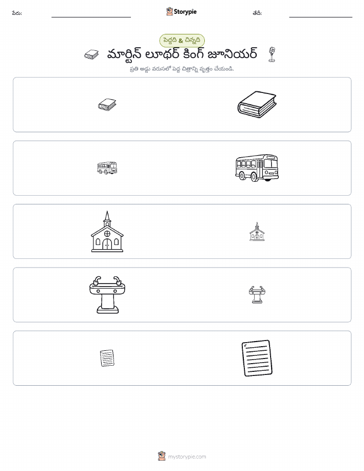 వర్గీకరణ