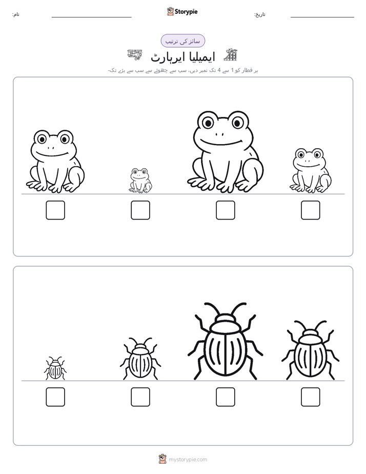 سائز کی ترتیب