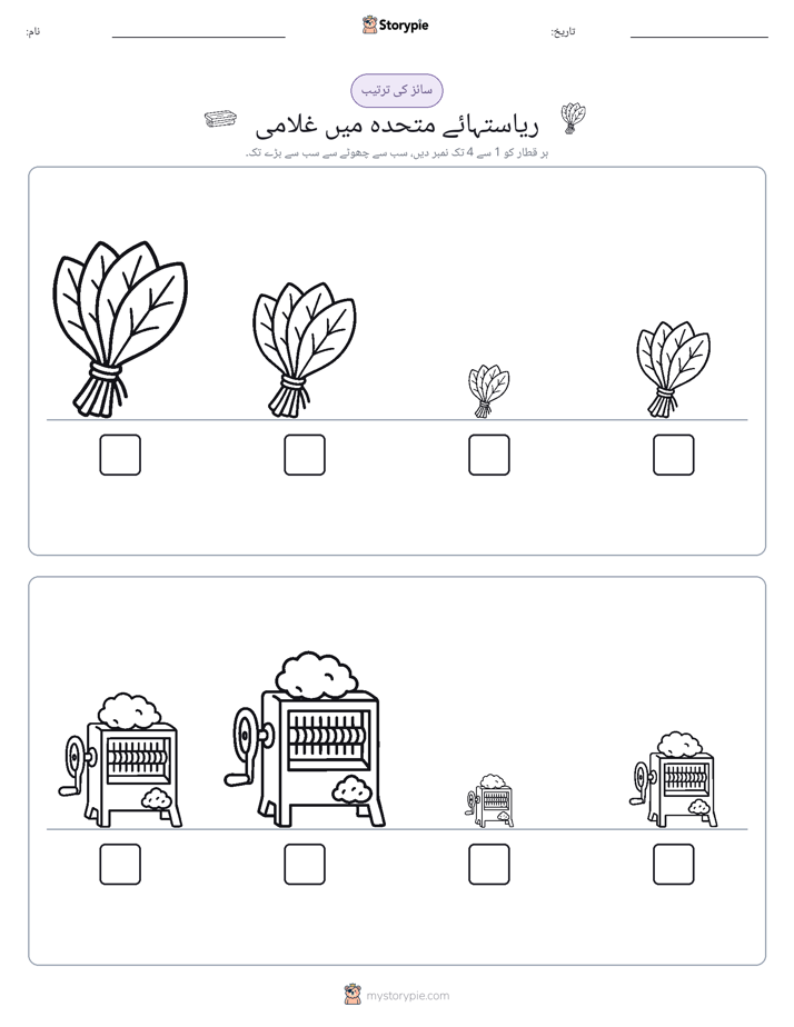 سائز کی ترتیب