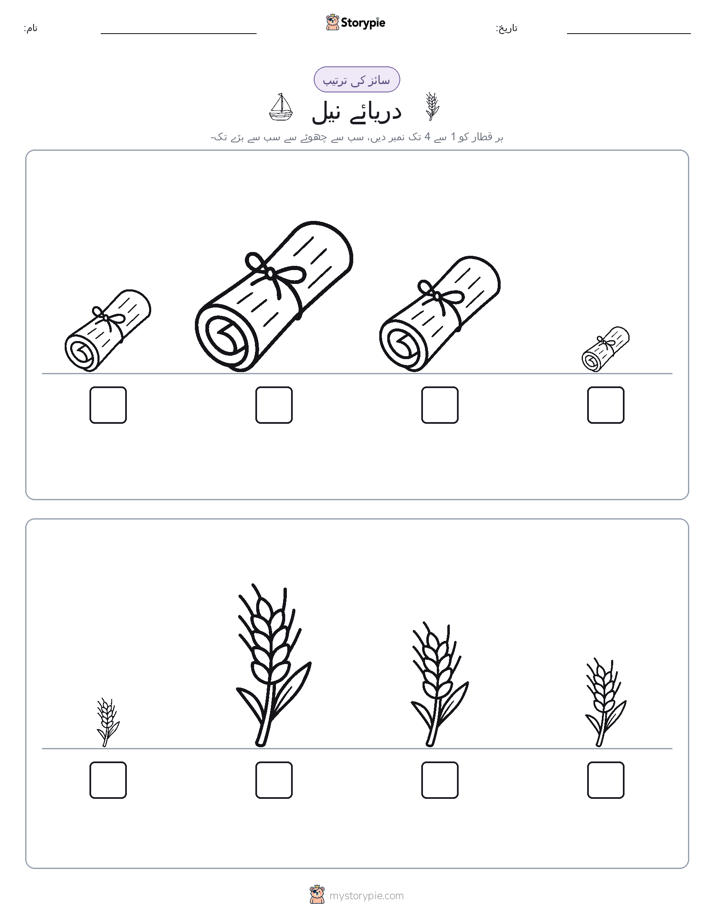 سائز کی ترتیب