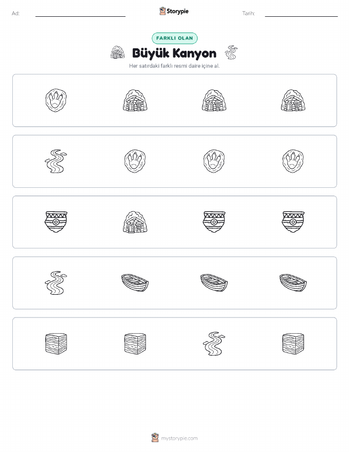 Farklı Olanı Bul