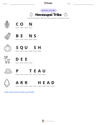 Havasupai Tribe printable worksheet preview