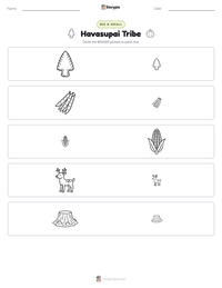 Havasupai Tribe printable worksheet preview