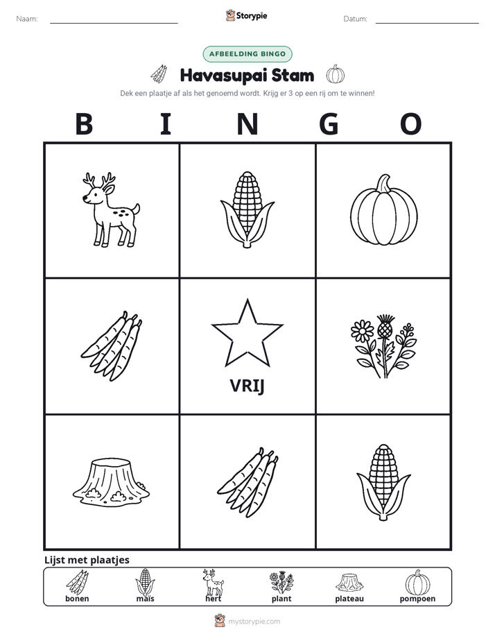 Afbeelding Bingo