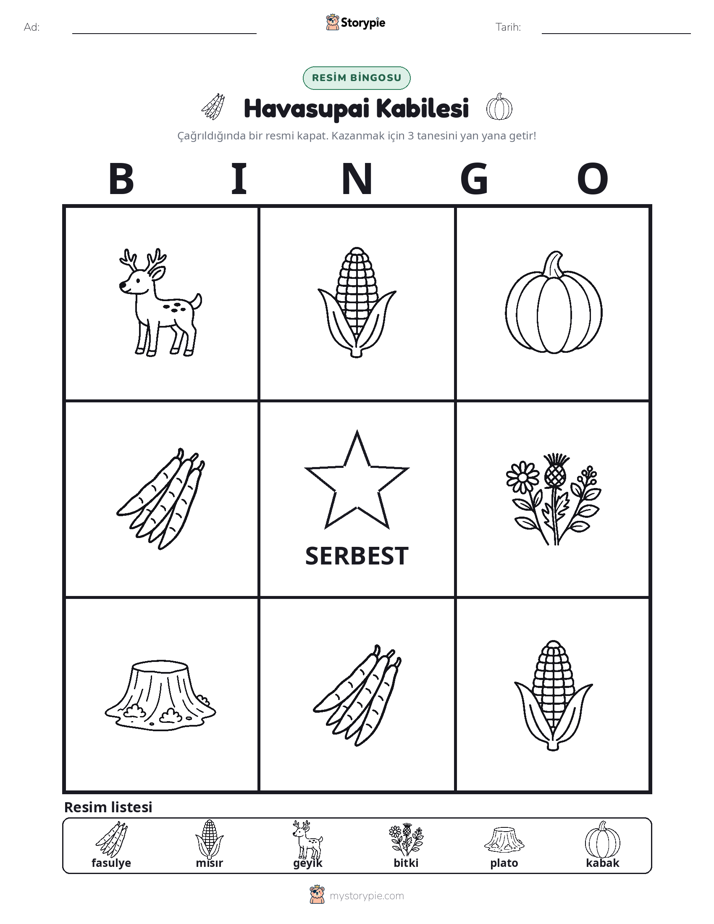 Resim Bingo