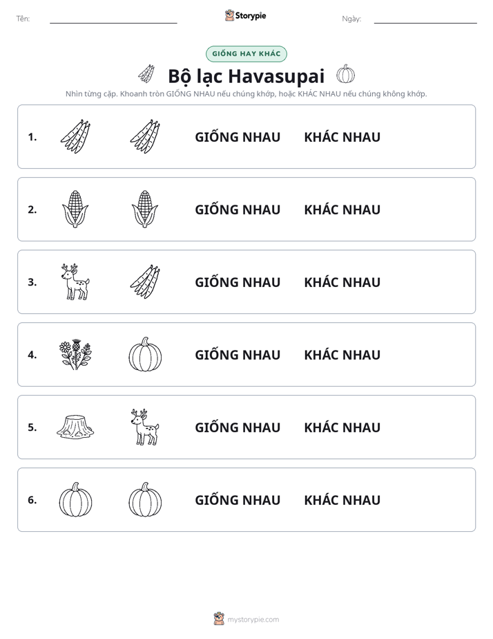 Giống Hay Khác