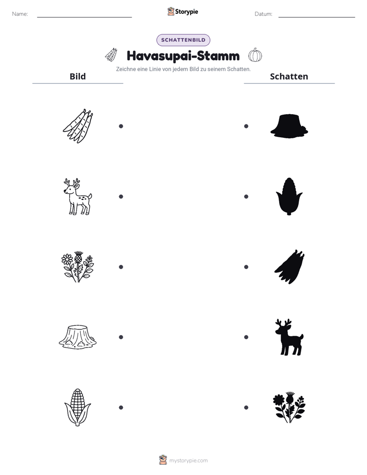 Schattenmatch