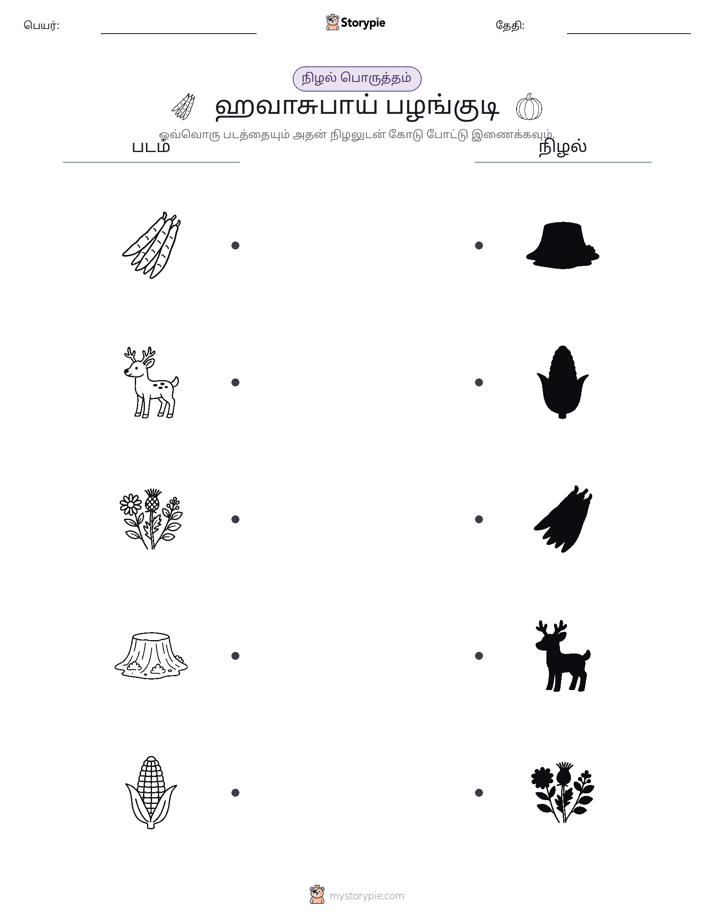 நிழல் பொருத்தம்